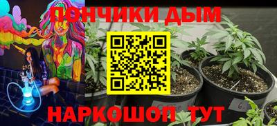 крисы Бийск