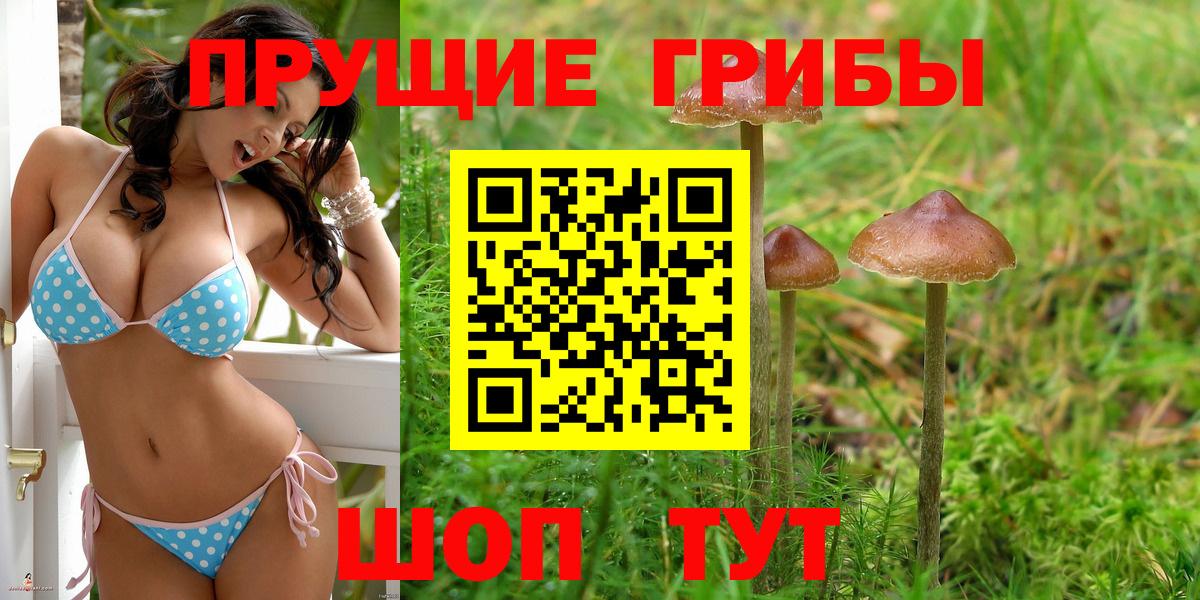 Псилоцибиновые грибы прущие грибы Камышлов